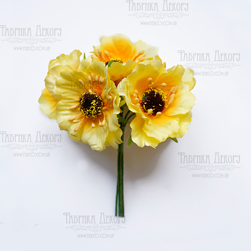 Set of poppies yellow, 6 pcs