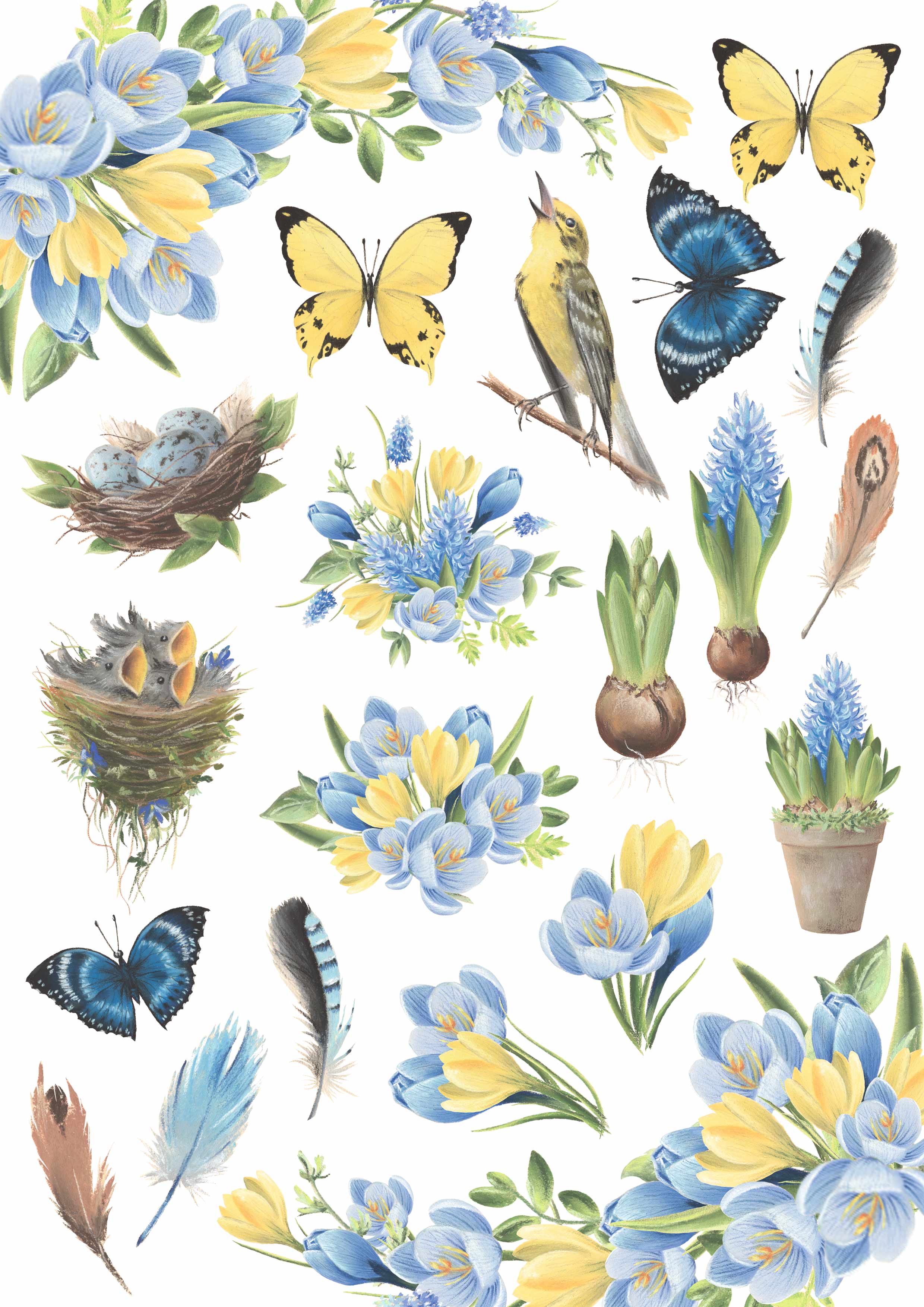 Overlay "Botany spring" 21х29,7 сm