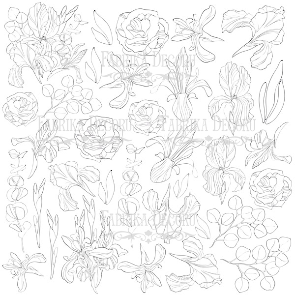 Sheet of paper 12"x12" for coloring using inks or glazes, Majestic Iris