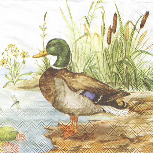 Decoupage-Serviette "Wilde Enten" - Fabrika Decoru