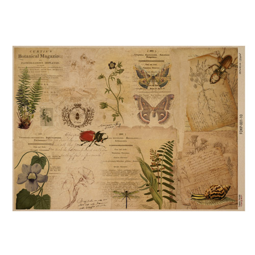 лист крафт бумаги с рисунком botanical backgrounds #10, 42x29,7 см