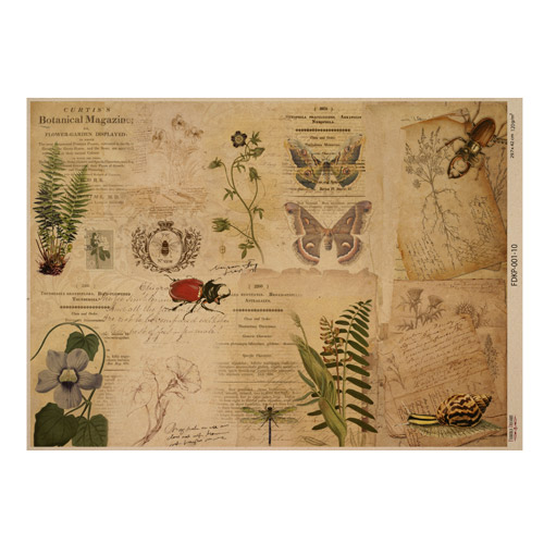 Arkusz kraft papieru z wzorem Botanical backgrounds #10, 42x29,7 cm - Fabrika Decoru