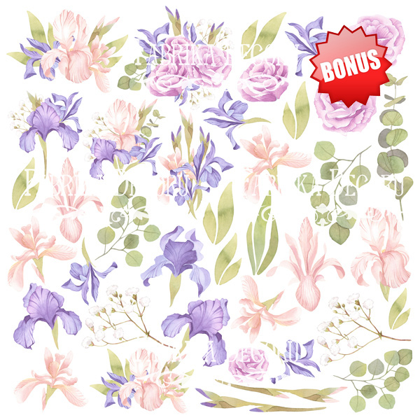 Doppelseitig Scrapbooking Papiere Satz Majestic Iris, 30.5 cm x 30.5cm, 10 Blätter - foto 0  - Fabrika Decoru