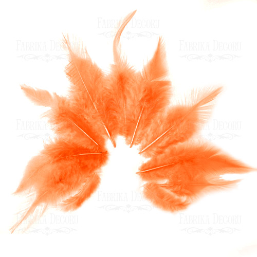 Набор перьев с хвостиком "Оранжевые"