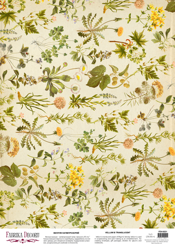 deco vellum colored sheet botany summer dandelions, a3 (11,7" х 16,5")