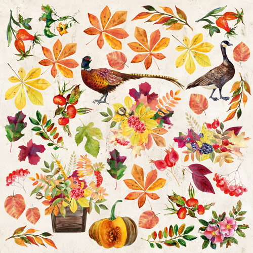 Double-sided scrapbooking paper set  "Botany autumn redesign" 8”x8”  - foto 0