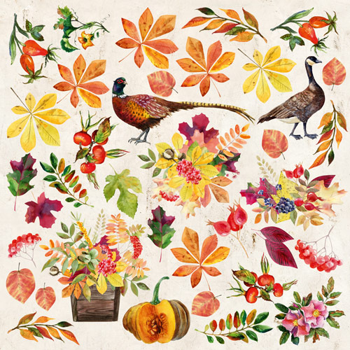 Doppelseitiges Scrapbooking-Papier-Set "Botany Autumn Redesign", 20 cm x 20 cm, 10 Blätter - foto 0  - Fabrika Decoru