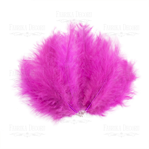 Feathers set Down "Fuchsia"