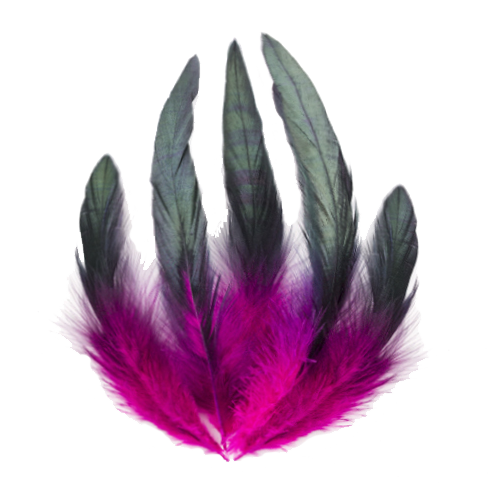 КОЛЬОРОВЕ ПІР'Я цветные перья