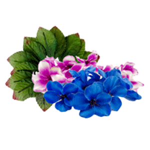 ромашки, клематисы и другие