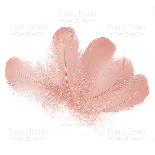 Feather set  "Vintage pink"