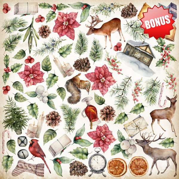 Double-sided scrapbooking paper set Winter wonders 12"x12", 10 sheets - foto 11