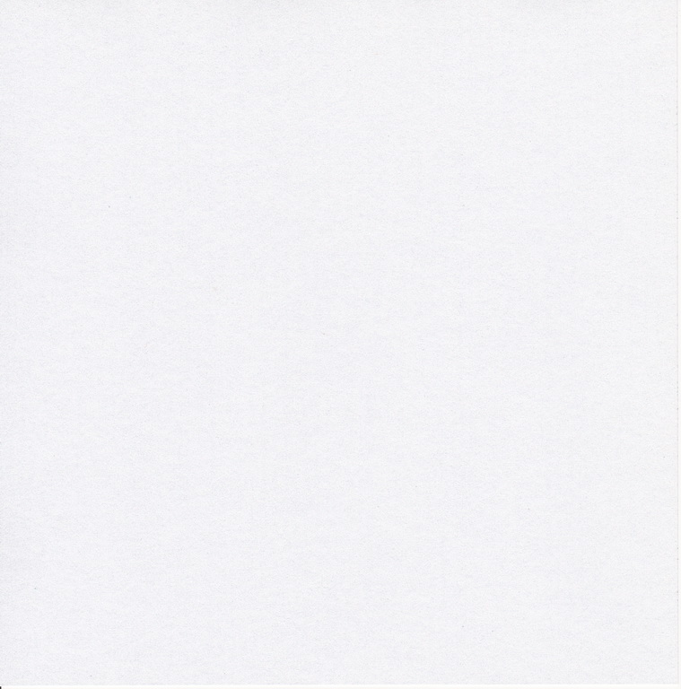 дизайнерский картон белый перламутровый, 30,5см x 30,5см, 250 г.кв.м