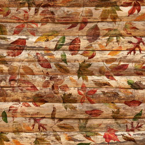 Zestaw papieru do scrapbookingu Autumn botanical diary, 30,5x30,5cm - foto 10  - Fabrika Decoru