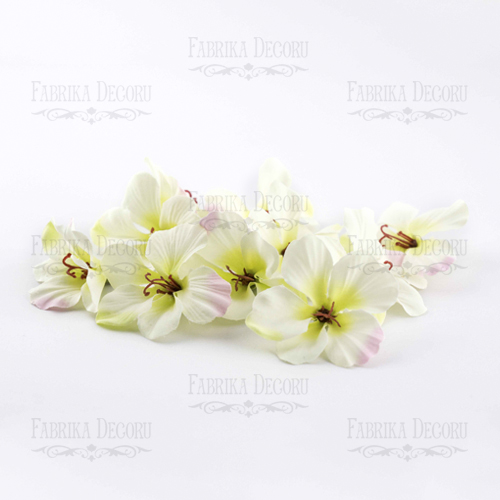 Kwiaty hortensji. Biały z zielonym środkiem. 1szt  - Fabrika Decoru