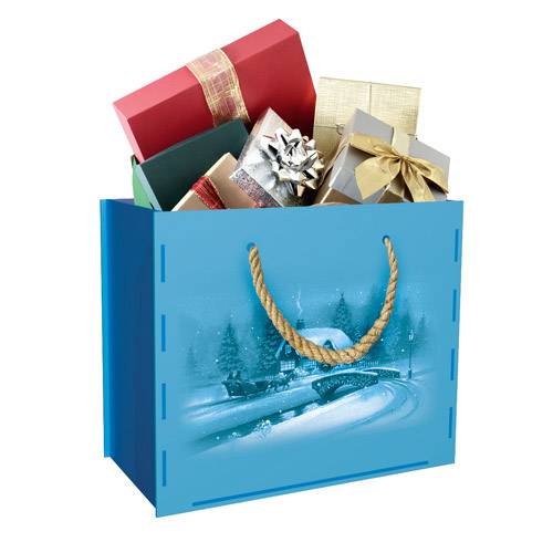 Bag shaped gift box with rope handles for presents, flowers, sweets, 300 х 250 х 150 mm, DIY kit #296 - foto 0
