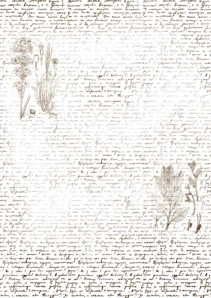 overlay "text with herbarium" 21х29,7 сm