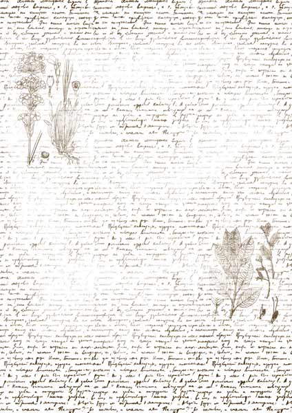 overlay "text with herbarium" 21х29,7 сm overlay "text with herbarium" 21х29,7 сm