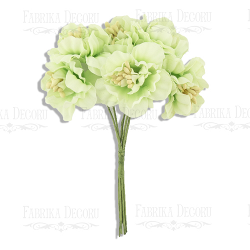 Sakura flowers set light green, 6 pcs