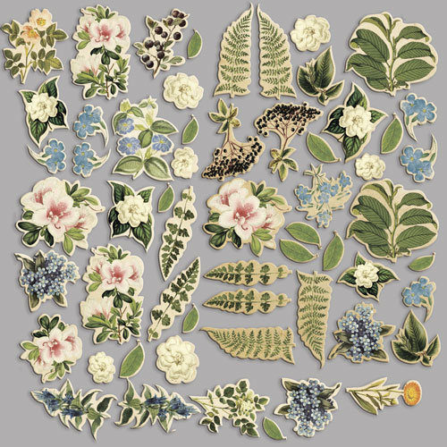 Set of die cuts Botany summer, 59pcs - foto 1