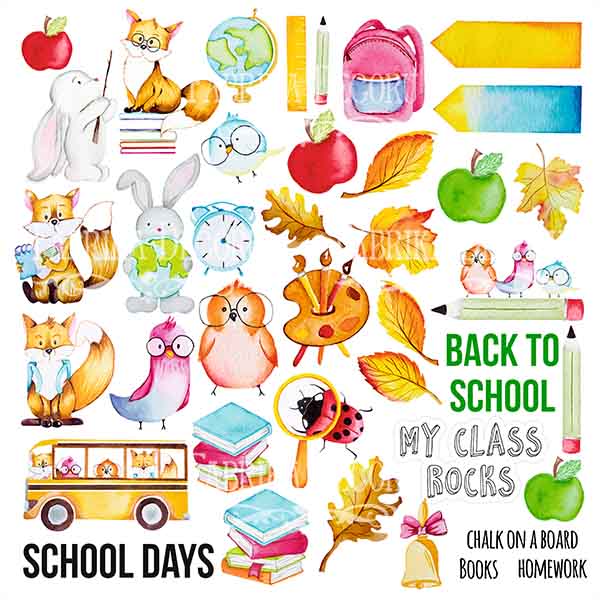 Doppelseitiges Scrapbooking-Papierset Cool School, 20 cm x 20 cm, 10 Blätter - foto 11  - Fabrika Decoru