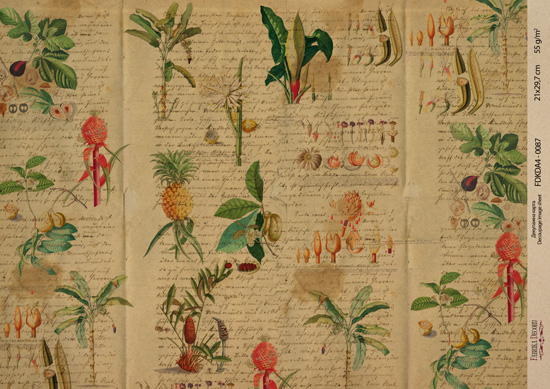 Kraft decoupage paper, 21x29,7cm, “Botanica Vintage”, #0087