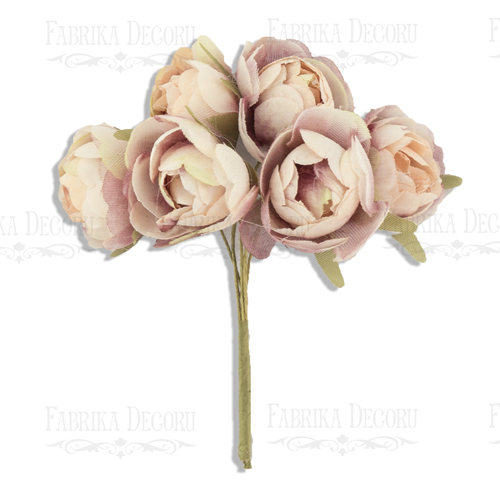  Bouquet of ranunculuses beige with purple, 6pcs