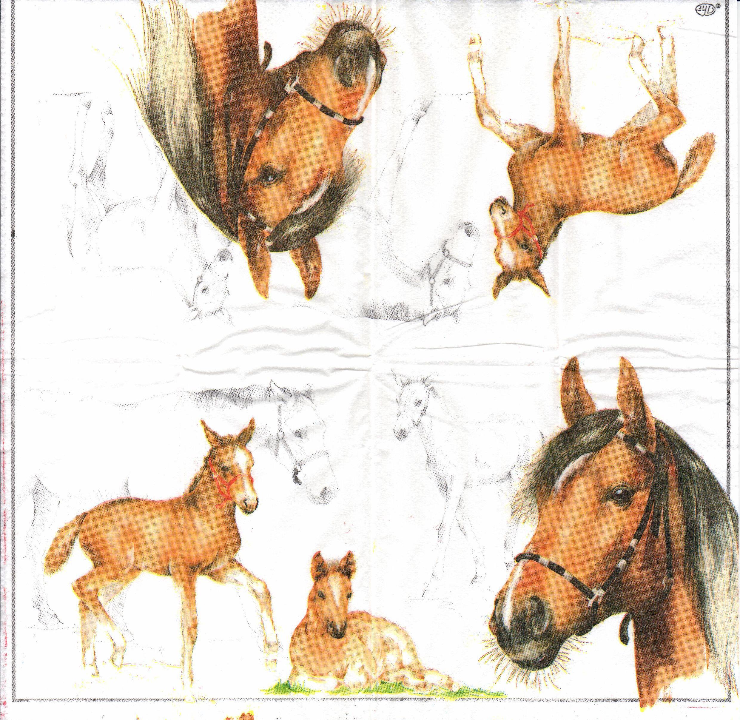 Decoupage napkin "Horses" - foto 1