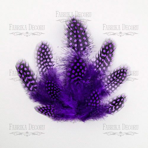 Feathers set Guinea fowl "Violet"