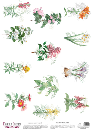 deco vellum colored sheet wildflowers 2, a3 (11,7" х 16,5")