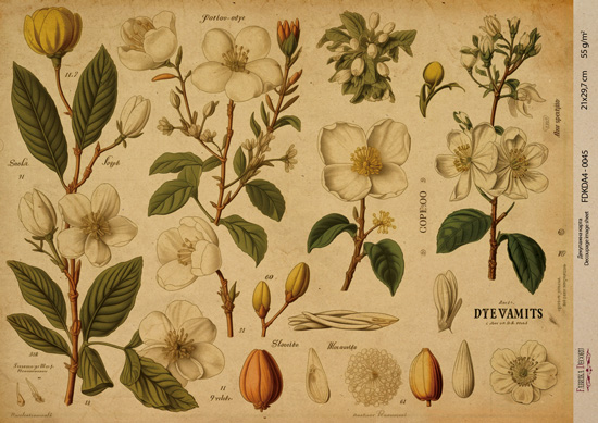 Kraft Decoupage Papier 29,7x21cm, “Botanica Kraft”, #0045 - Fabrika Decoru