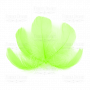 Feather set  "Light green"