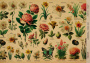Kraft Decoupage Papier 29,7x21cm, “Botanica Kraft”, #0040