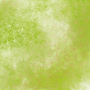 Лист односторонней бумаги с фольгированием, дизайн Golden Rose leaves, color Light green watercolor, 30,5см х 30,5см