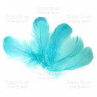 Feather set  "Blue"