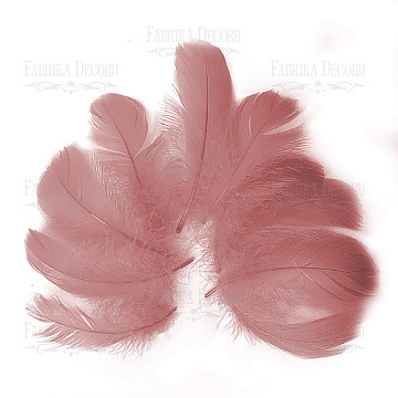 Feathers set maxi "Vintage pink"