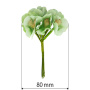 Bouquet of Carpathian bells, Mint color, 6 pcs. - 0