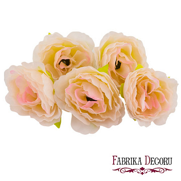 Eustoma flowers, Cream with pink 1pc