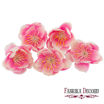 Plum blossom pink with white, 1pc