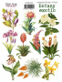 Zestaw naklejek, 10 szt, "Botany exotic" #204