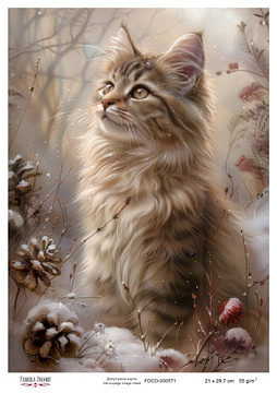 Decoupage card #0571, 21x29,7 cm