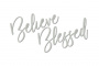 Spanplatte "Believe Blessed" #462