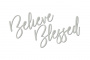 Чипборд Believe Blessed 10х20 см #462