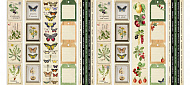 набор полос с картинками для декорирования summer botanical diary 5 шт 5х30,5 см