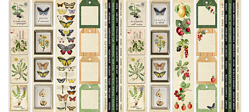 Set of stripes with pictures for decoration Summer botanical diary