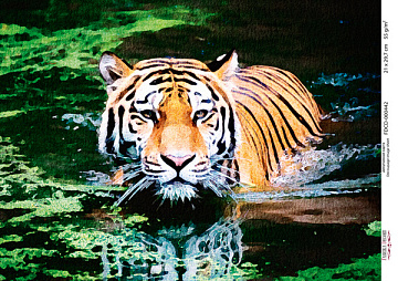 Decoupage card Tiger, watercolor #0442, 21x30cm