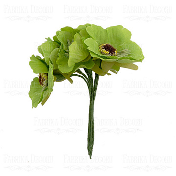 Set of poppies lime, 6 pcs