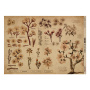 Einseitiges Kraftpapier Satz für Scrapbooking Botany spring 42x29,7 cm, 10 Blatt 