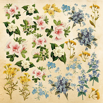 Sheet of images for cutting. Collection "Botany Summer"