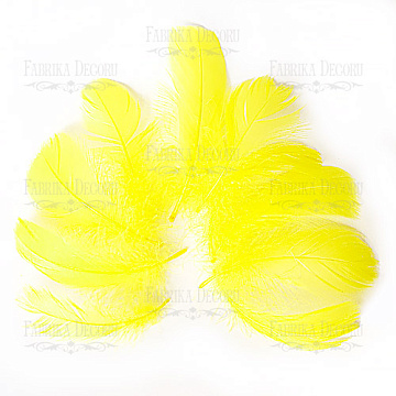 Feather set  "Lemon"